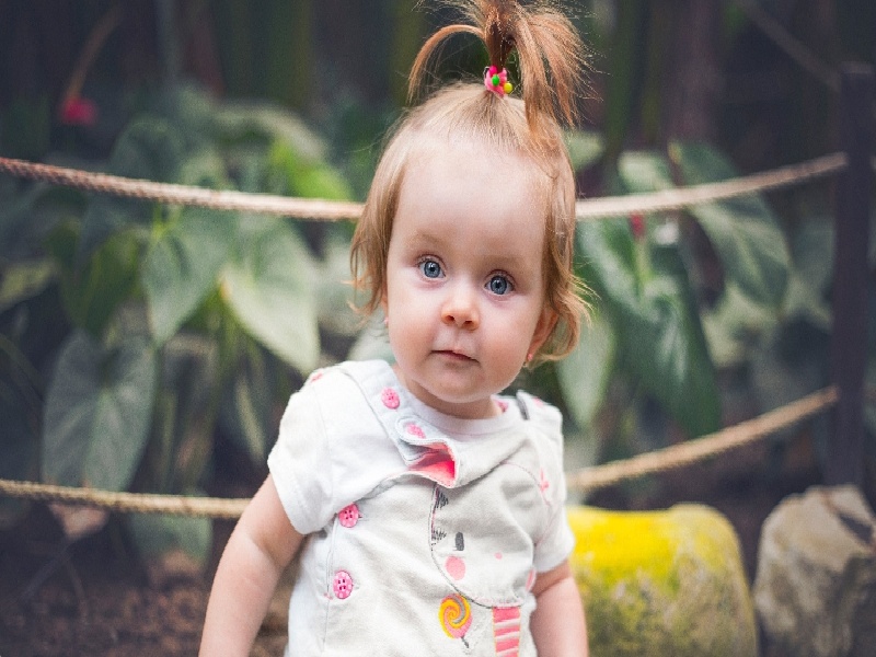 试管移孕酮50试管婴儿很难试管太难了我